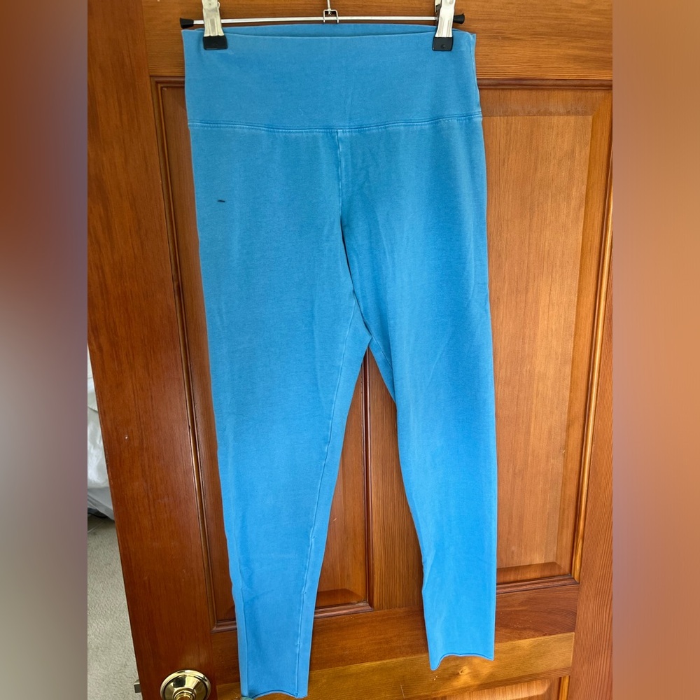 Aritzia Chill Cotton Blue Leggings